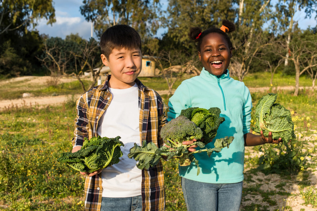Two children standing outdoors in a sunny field, each holding a head of kale or broccoli. The boy wears a plaid shirt over a white tee, and the girl wears a light blue zip-up hoodie and jeans.